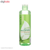 محلول پاککننده شون مدل Antioxidant Micellar Water حجم 300 میلیلیتر