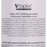 شامپو تثبیت کننده رنگ مو ویتاپلکس مدل Bleach Care 01 مناسب موهای رنگ شده حجم 200 میلی لیتر
