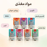 پوچ گربه بالغ ونپی مدل ترکیبی هفت طعم طعم مرغ، بوقلمون، گوشت گاو وزن 560 گرم بسته 7 عددی