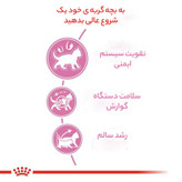 غذای خشک گربه عقیم شده رویال کنین مدل Regular Sterilised وزن 2 کیلوگرم
