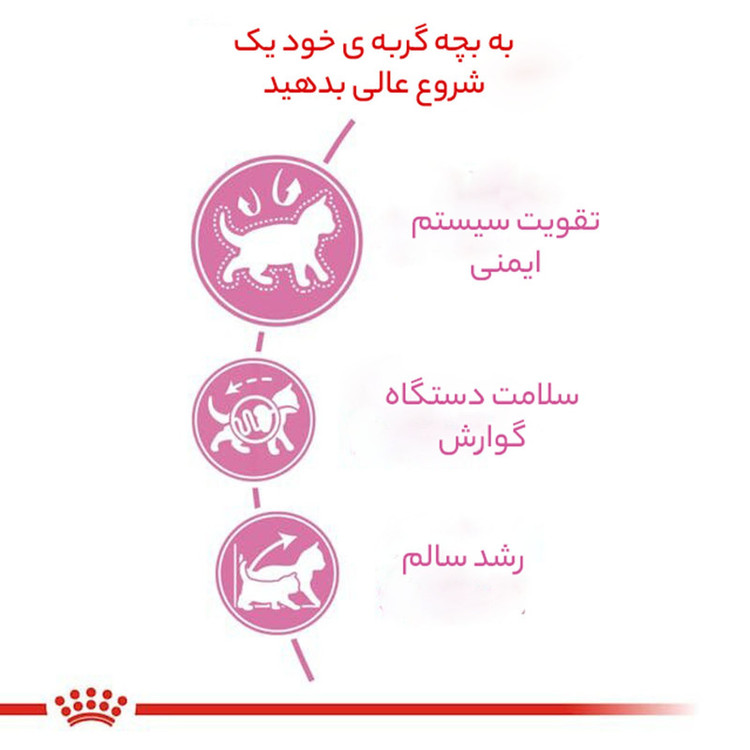 غذای خشک گربه عقیم شده رویال کنین مدل Regular Sterilised وزن 2 کیلوگرم