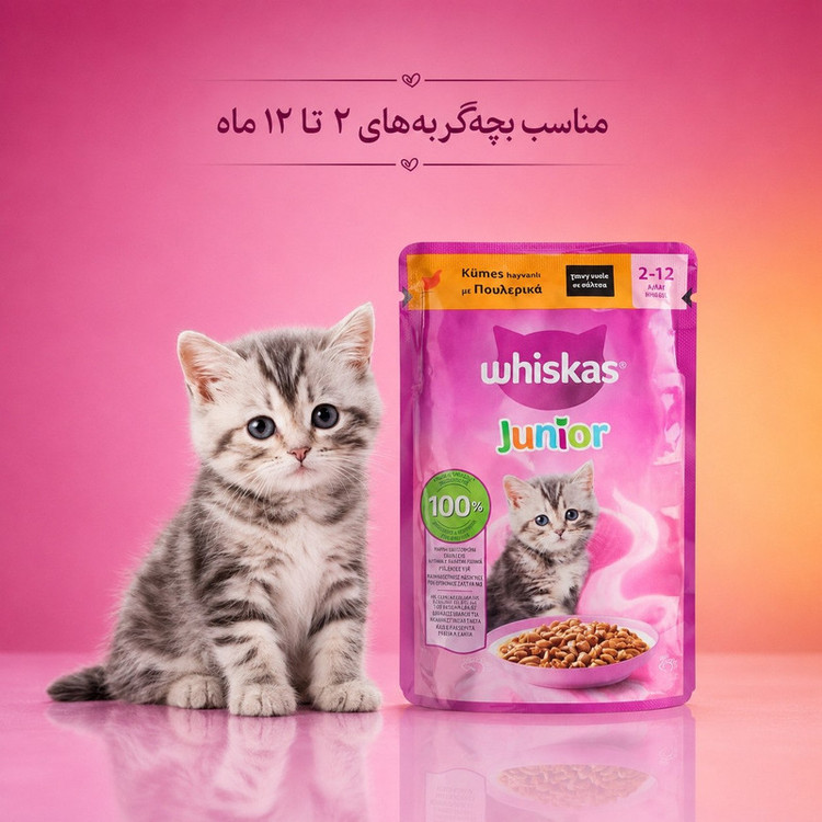 پوچ گربه نابالغ ویسکاس مدل Junior با طعم مرغ وزن 85 گرم