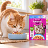 پوچ گربه بالغ ویسکاس مدل ژلی طعم ماهی تن وزن 85 گرم