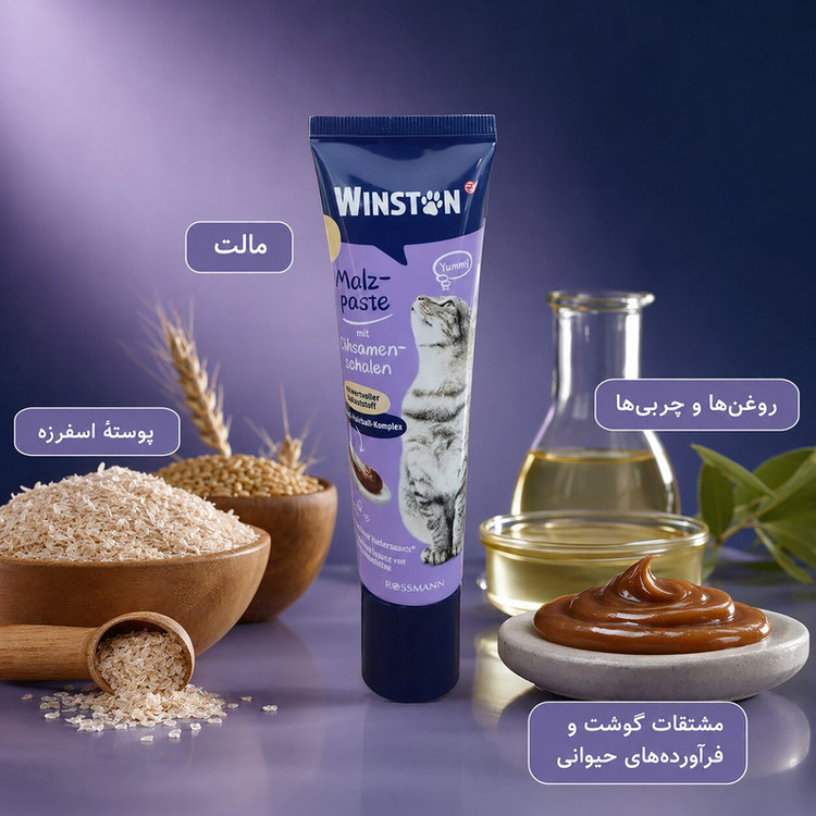 خمیر مالت گربه بالغ وینستون مدل آنتی هیربال مجموعه 2 عددی