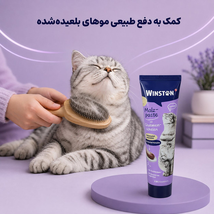 خمیر مالت گربه بالغ وینستون مدل آنتی هیربال مجموعه 2 عددی