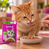 پوچ گربه بالغ ویسکاس مدل ژلی طعم بره وزن 85 گرم
