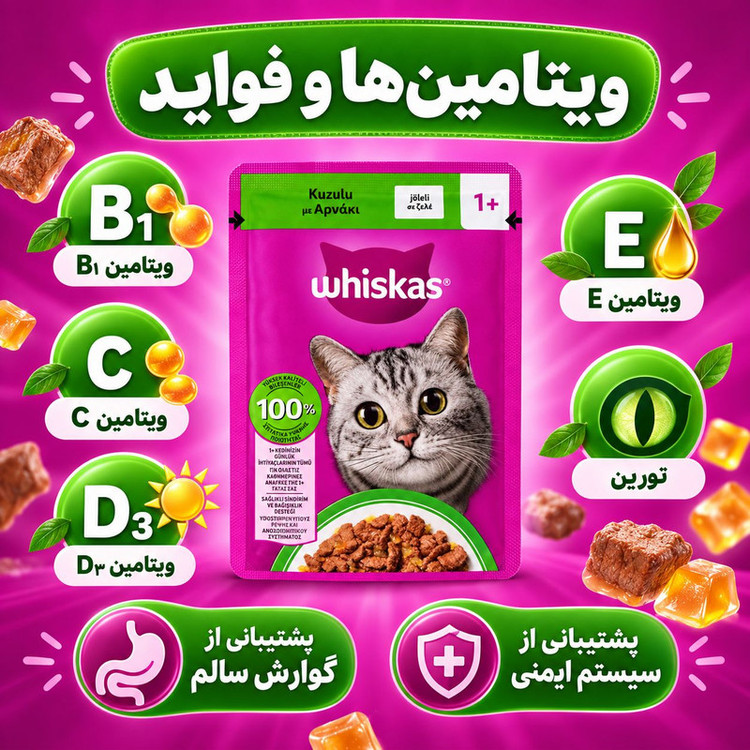پوچ گربه بالغ ویسکاس مدل ژلی طعم بره وزن 85 گرم