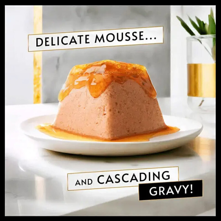 غذای کاسهای گربه بالغ گورمت مدل Revelations Mousse بافت موس با طعم مرغ وزن 57 گرم بسته 2 عددی