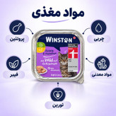 کنسرو گربه بالغ وینستون مدل Pate طعم گوشت شکار و پرندگان وزن 100 گرم