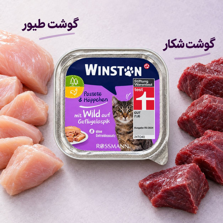 کنسرو گربه بالغ وینستون مدل Pate طعم گوشت شکار و پرندگان وزن 100 گرم
