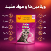 پوچ بچه گربه ویسکاس مدل Junior Kitten طعم گوشت پرندگان وزن 85 گرم