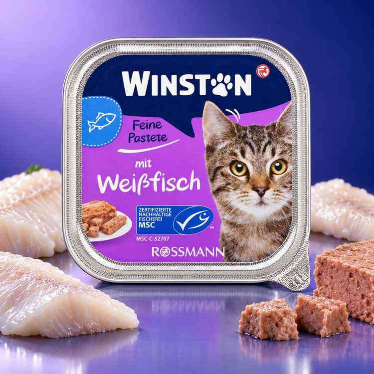 کنسرو گربه بالغ وینستون مدل Fine Pate طعم ماهی سفید وزن 100 گرم