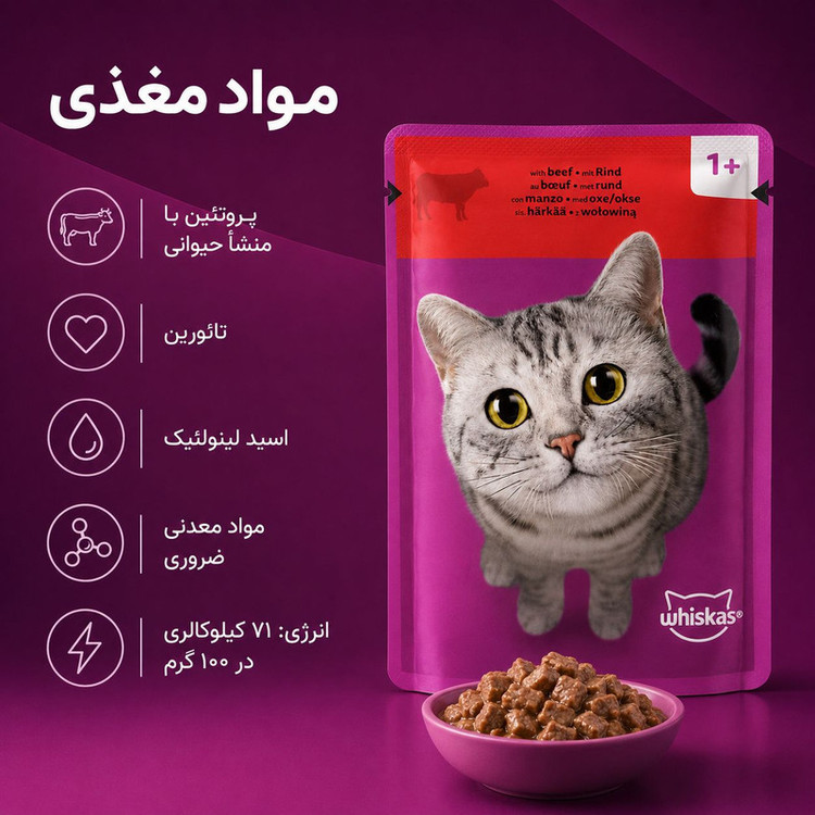 پوچ گربه بالغ ویسکاس مدل In jelly طعم گوشت گاو وزن 85 گرم