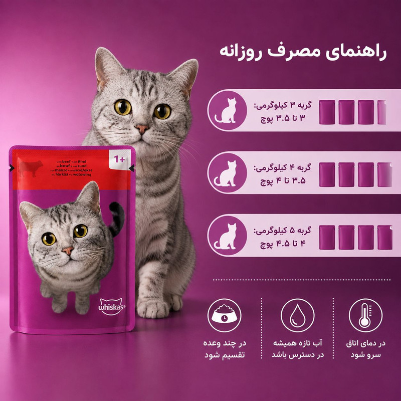 پوچ گربه بالغ ویسکاس مدل In jelly طعم گوشت گاو وزن 85 گرم