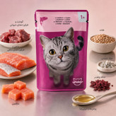 پوچ گربه بالغ ویسکاس مدل In Jelly طعم ماهی سالمون وزن 85 گرم
