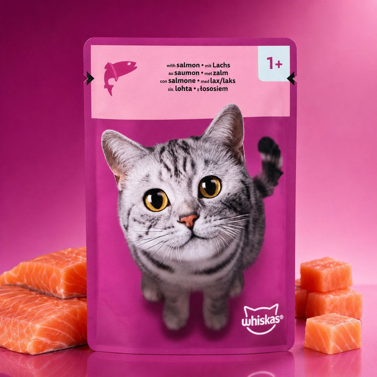 پوچ گربه بالغ ویسکاس مدل In Jelly طعم ماهی سالمون وزن 85 گرم