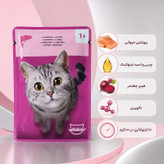 پوچ گربه بالغ ویسکاس مدل In Jelly طعم ماهی سالمون وزن 85 گرم