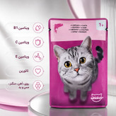 پوچ گربه بالغ ویسکاس مدل In Jelly طعم ماهی سالمون وزن 85 گرم