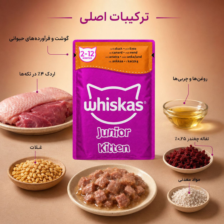 پوچ گربه نابالغ ویسکاس مدل Junior Kitten طعم اردک وزن ۸۵ گرم