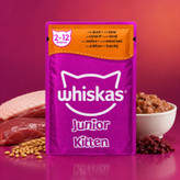 پوچ گربه نابالغ ویسکاس مدل Junior Kitten طعم اردک وزن ۸۵ گرم