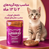 پوچ گربه نابالغ ویسکاس مدل Junior Kitten طعم اردک وزن ۸۵ گرم