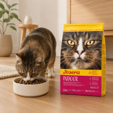 غذای خشک گربه عقیم شده جوسرا مدل Indoor وزن 2 کیلوگرم