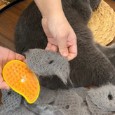 برس بخار سگ و گربه مدل Pet Brush