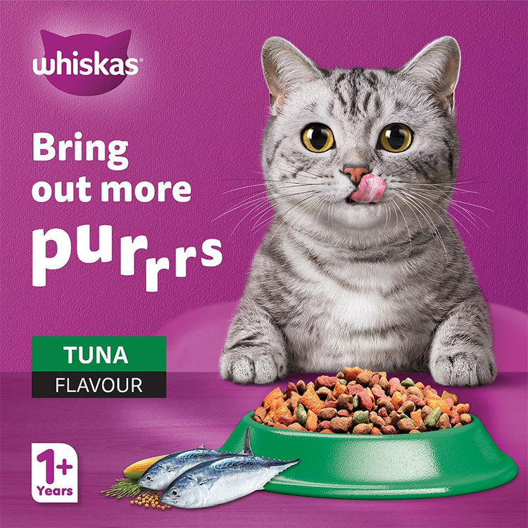 غذای خشک گربه بالغ ویسکاس مدل Dry Cat Food با طعم ماهی تن وزن 1.2 کیلوگرم