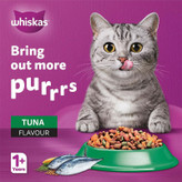 غذای خشک گربه بالغ ویسکاس مدل Dry Cat Food با طعم ماهی تن وزن 7 کیلوگرم