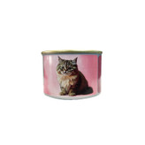 غذای خشک بچه گربه سلبن مدل Kitten Pack با طعم مرغ به همراه کنسرو بسته 4 عددی