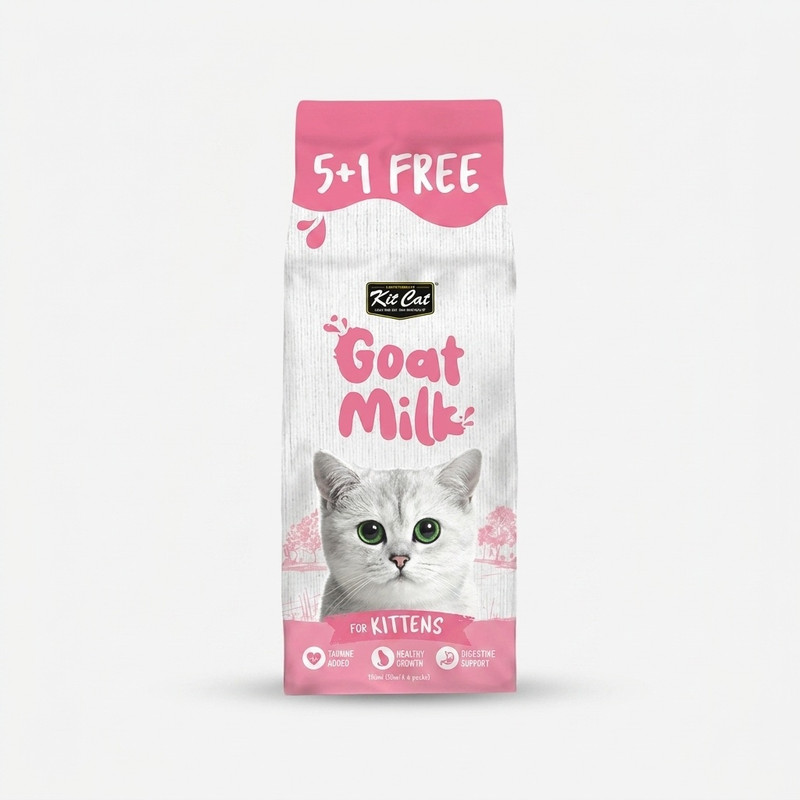 شیر بچه گربه کیت کت مدل Kitten Goat Milk طعم شیر بز بسته 6 عددی