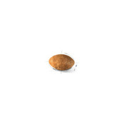 غذا خشک گربه رویال کنین مدل persian adult وزن 4 کیلوگرم