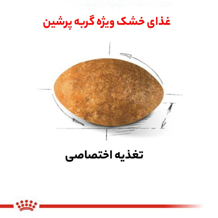غذا خشک گربه رویال کنین مدل persian adult وزن 4 کیلوگرم