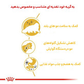 غذا خشک گربه رویال کنین مدل persian adult وزن 4 کیلوگرم