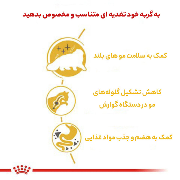 غذا خشک گربه رویال کنین مدل persian adult وزن 4 کیلوگرم
