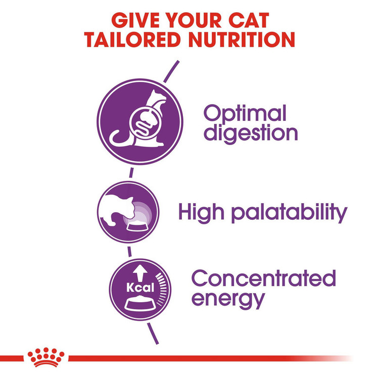 غذای خشک گربه رویال کنین مدل Sensible Adult Cats وزن 4 کیلوگرم