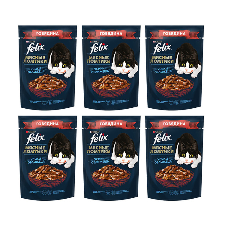 پوچ گربه فلیکس مدل in Sauce با طعم گوشت گاو وزن 410 گرم بسته 6 عددی