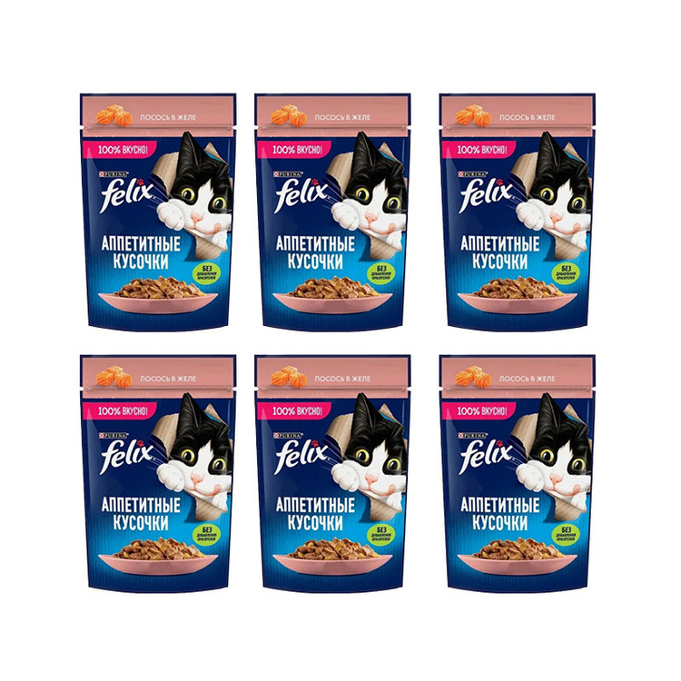 پوچ گربه بالغ فلیکس مدل in Jelly طعم ماهی سالمون وزن 450 گرم بسته 6 عددی
