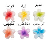 کلیپس مو زنانه طرح گل