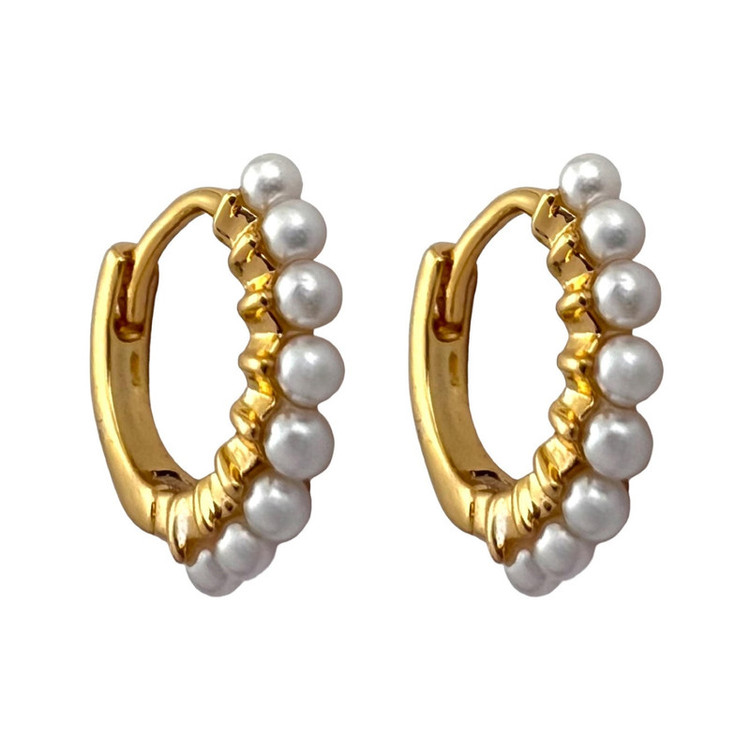 گوشواره زنانه ژوپینگ مدل E5030