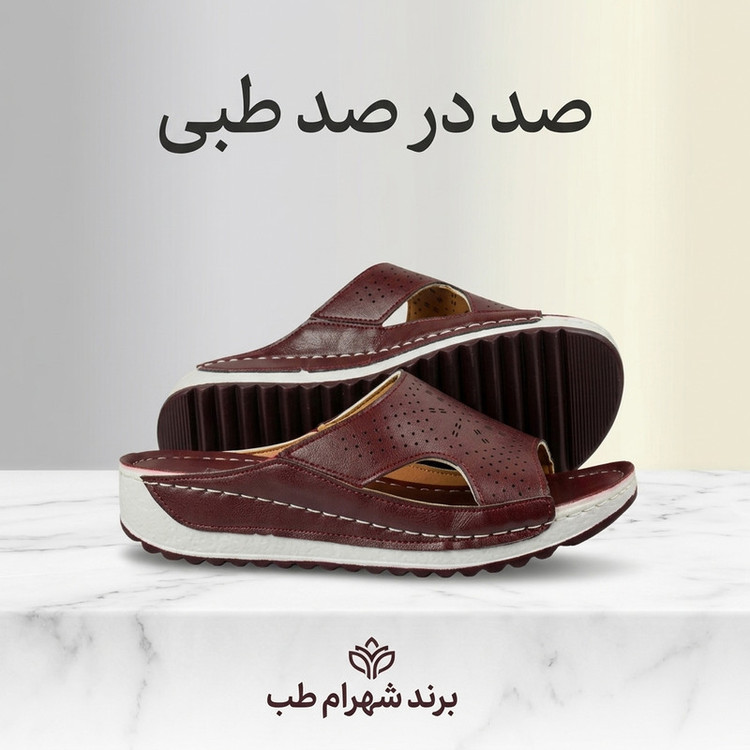 دمپایی زنانه شهرام طب مدل دیپ بریس ZRSH.4293