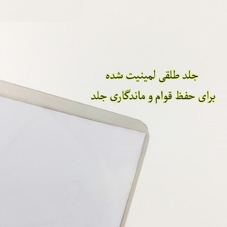 پوستر مدل انیمه سگ های ولگرد بانگو p101