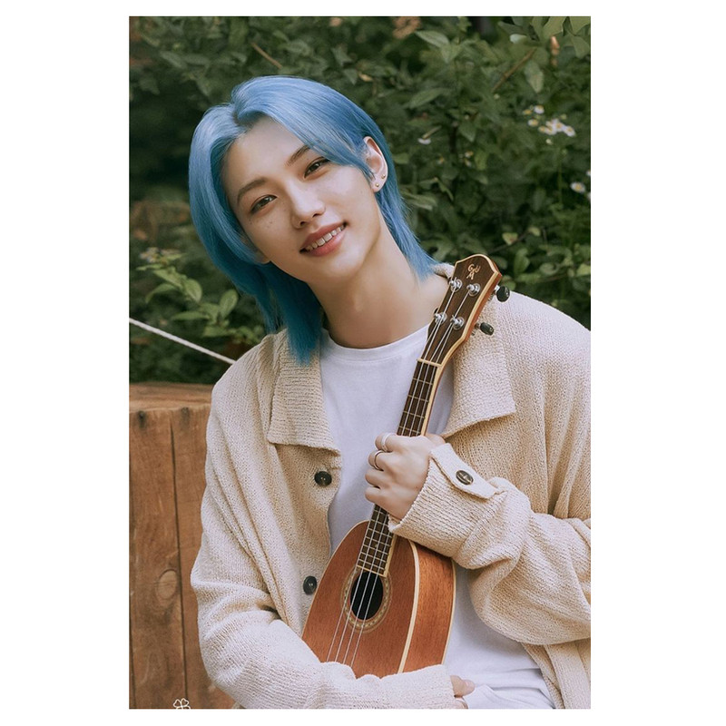 پوستر مدل استری کیدز stray kids طرح فلیکس Felix کد 733