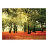 پوستر طرح طبیعت کد 0012