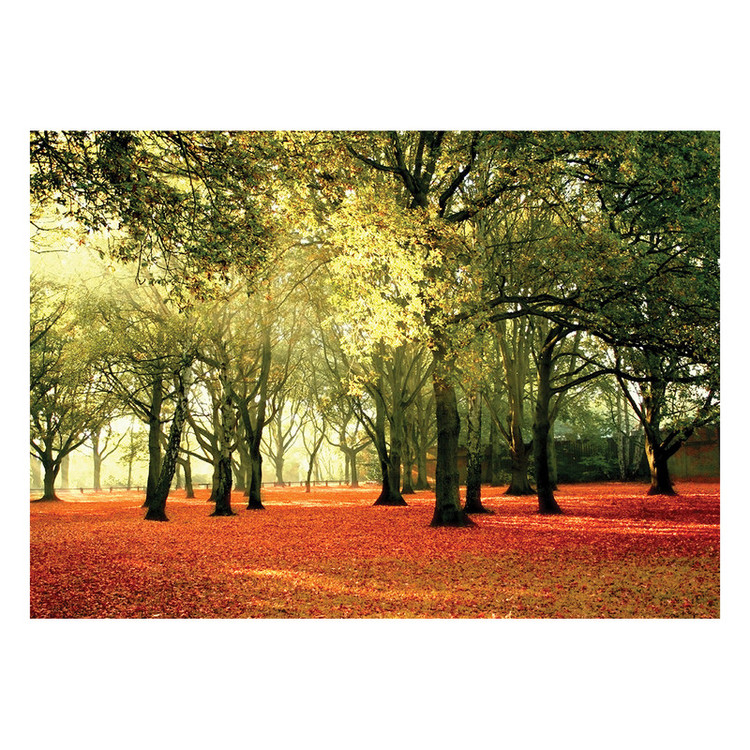 پوستر طرح طبیعت کد 0012