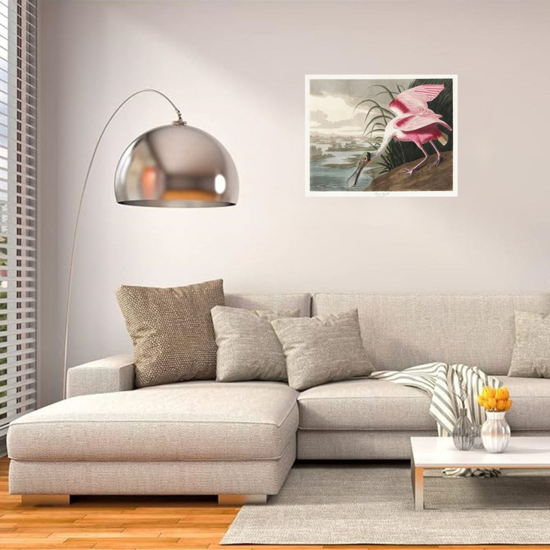 پوستر مدل استاد وینتیج جیمز اودوبون پوستر