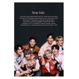 پوستر مدل استری کیدز Stray kids کد 298